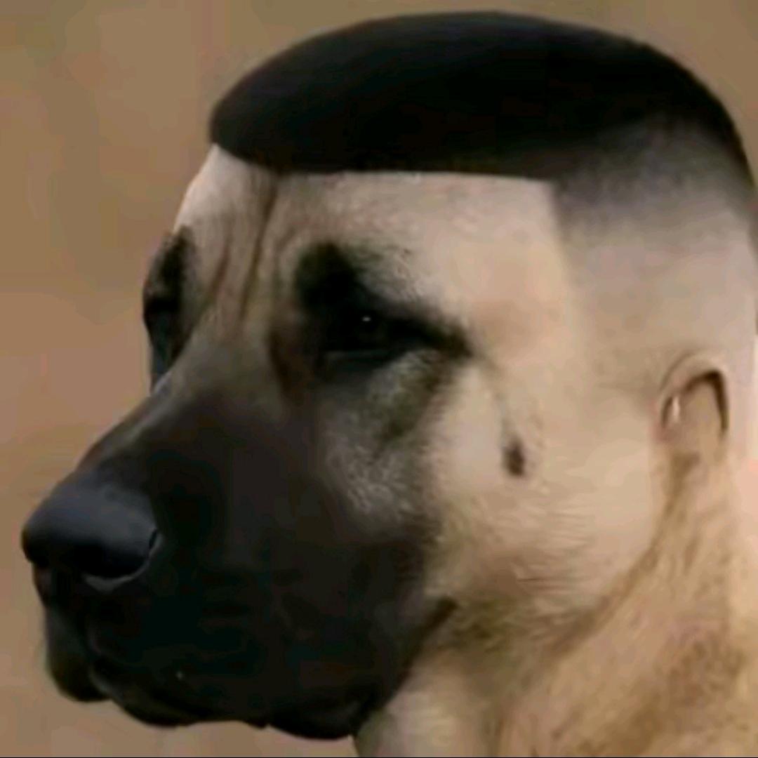 洋猥