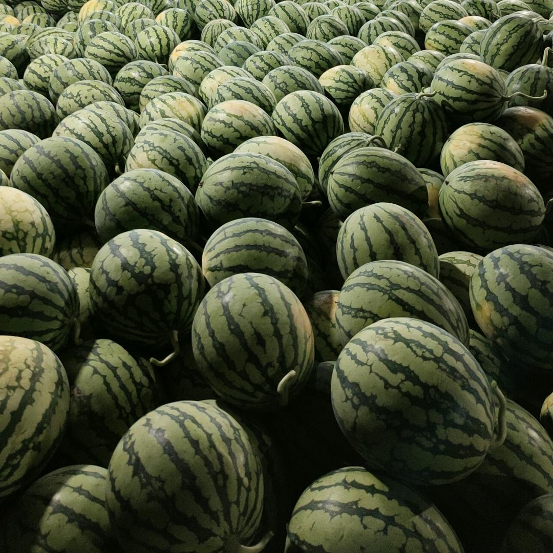 周(●—●)（｡ò ∀ ó｡）