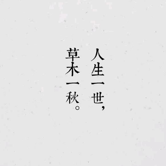 每日短句