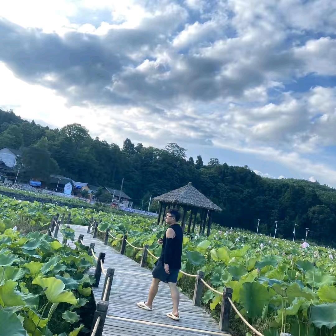 半根稻草