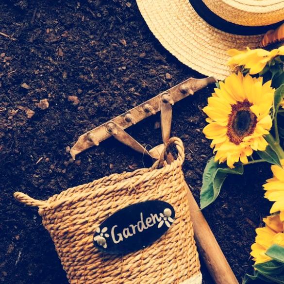 🍀花语者·农品汇