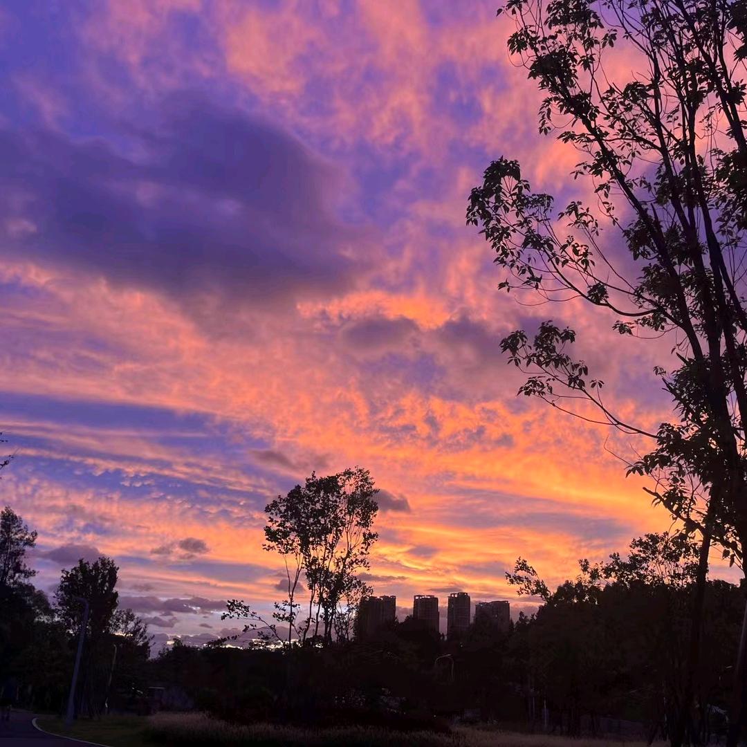 高处不胜（韩）