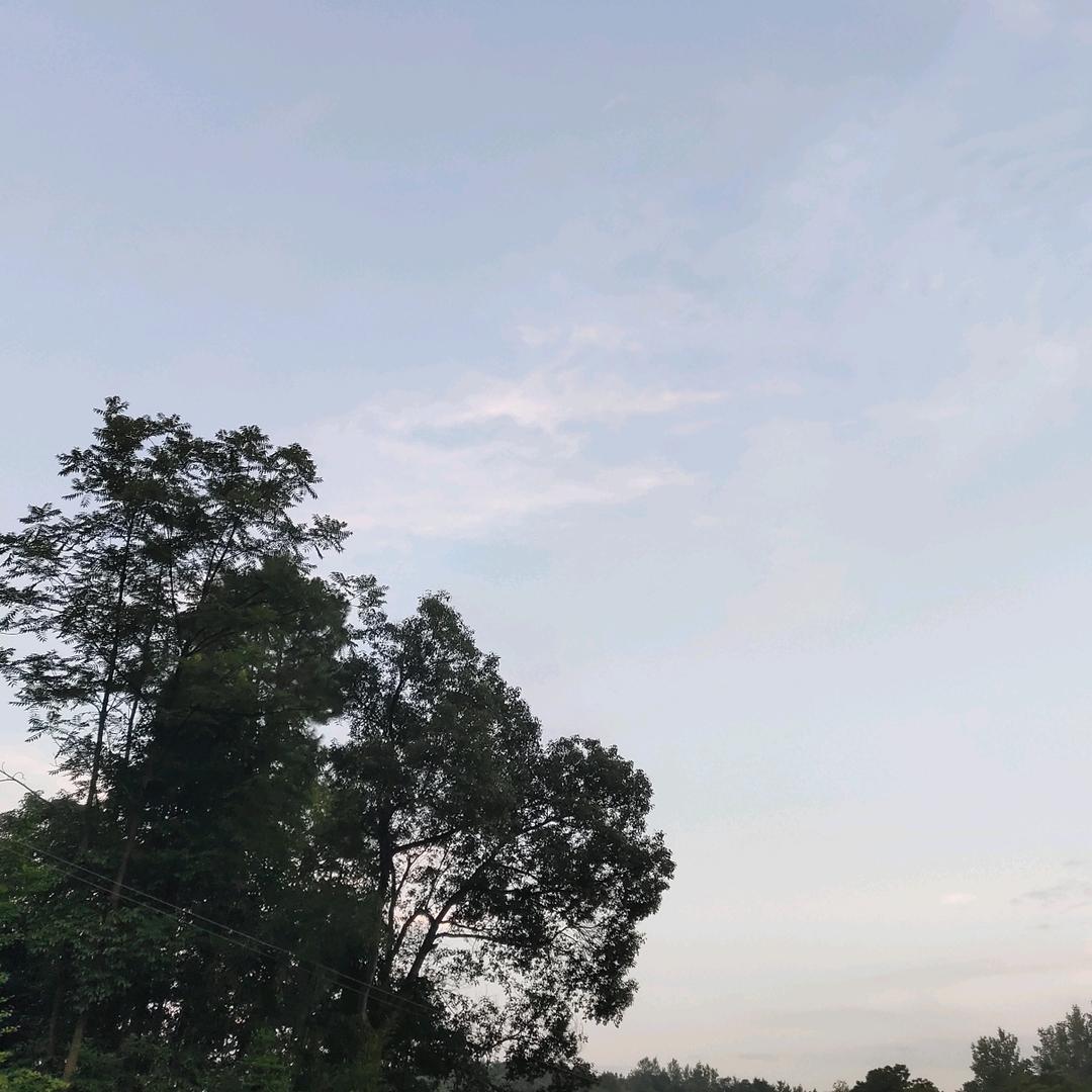 妮妮的