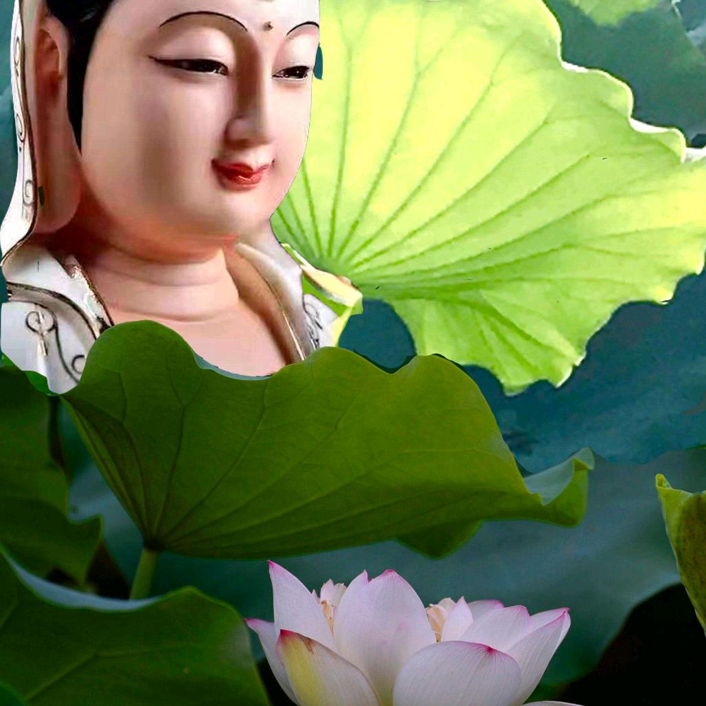 297597佛度有缘人