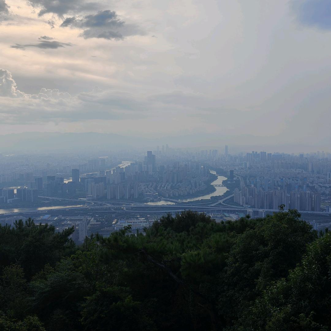 有点小鸭梨