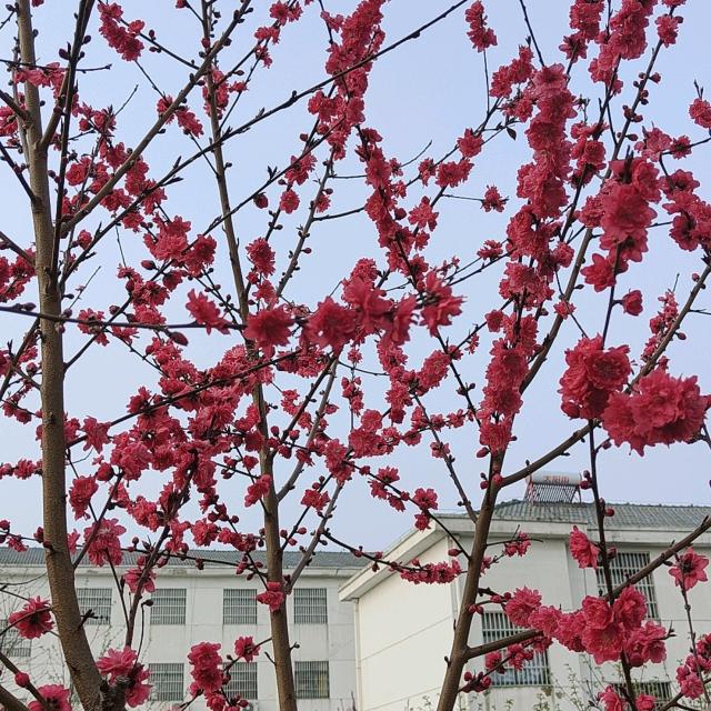 湖北炬鑫建设工程有限公司