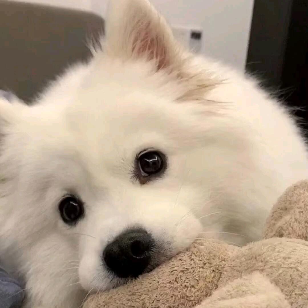Lyuu
