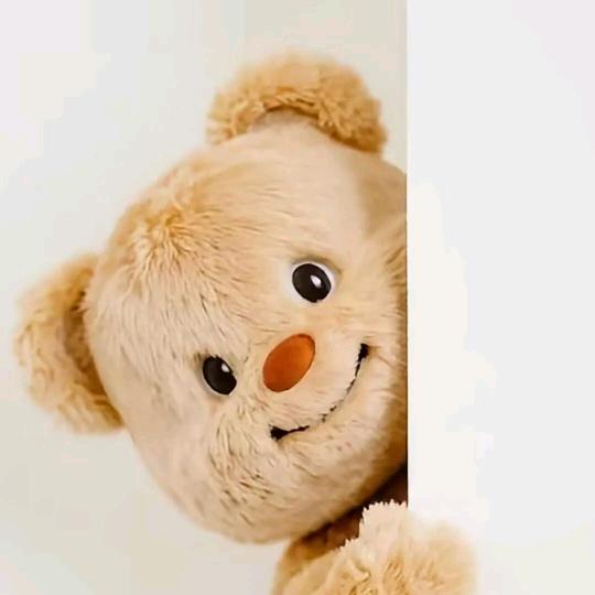 樹上有只小熊叫鑫仔🐻🎐