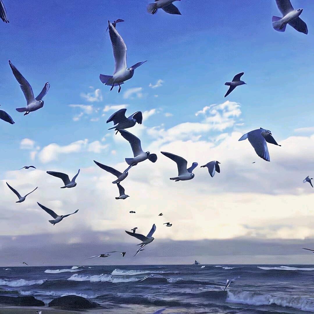 早有        防备