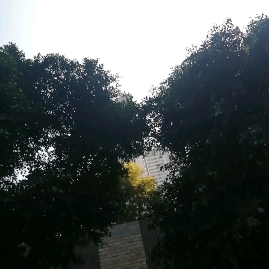 听晨百货