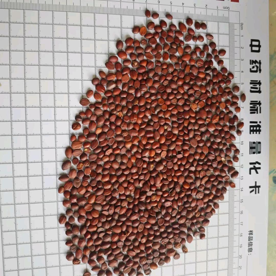 药都安国