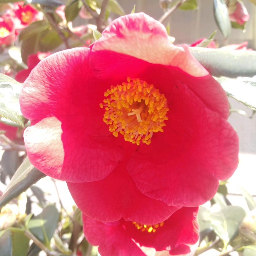 张格⁵²⁶⁶ ⁶¹³ ⁵²⁴⁴ ⁰³⁰⁵