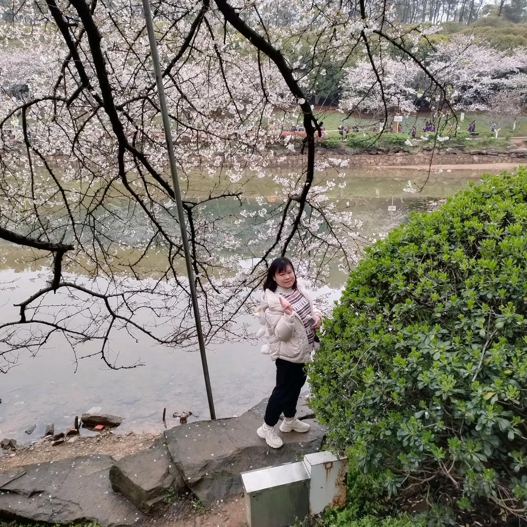 花草的味道