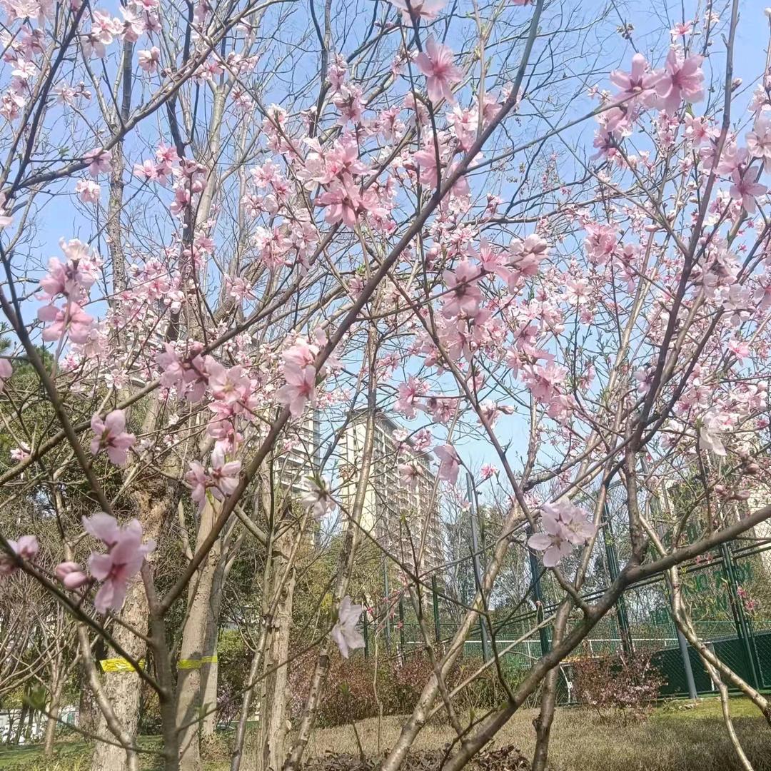 艺流门窗