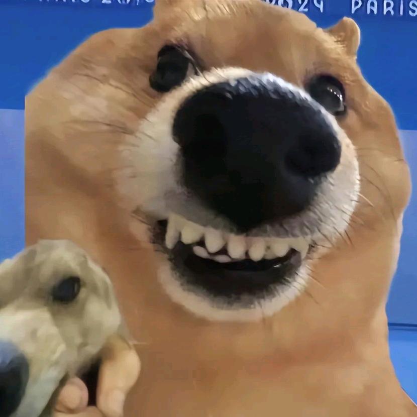 延秋若梦