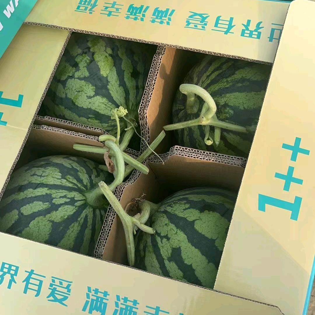 最美的遇见