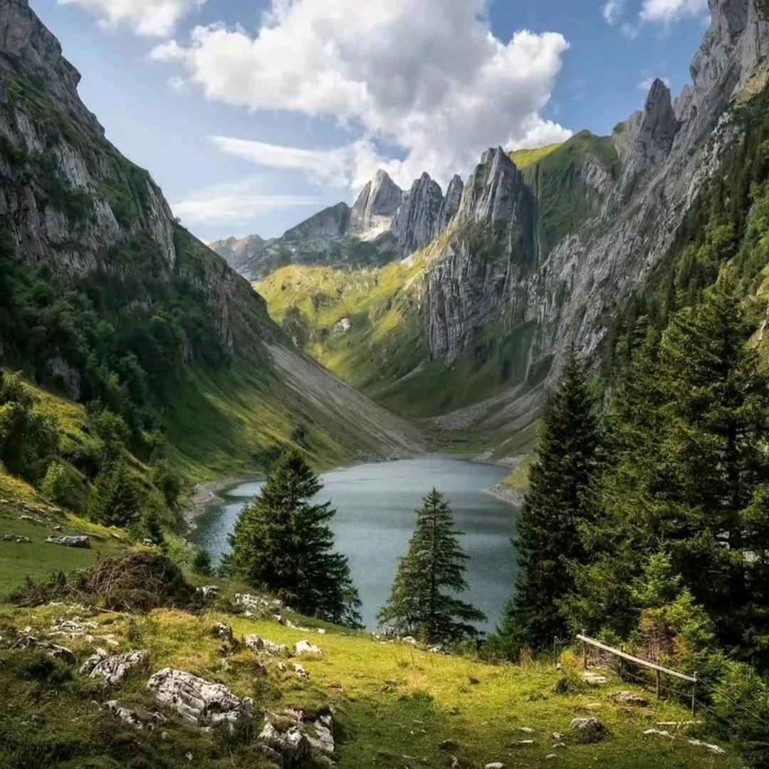 青山见我