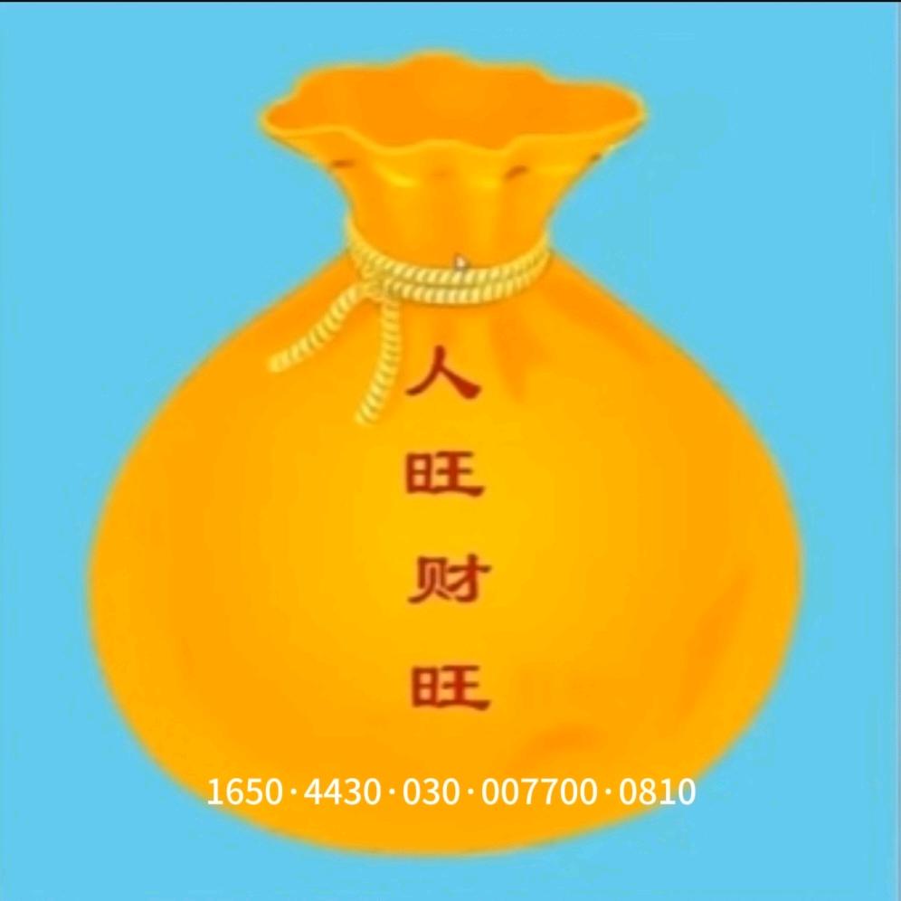 卢滋行