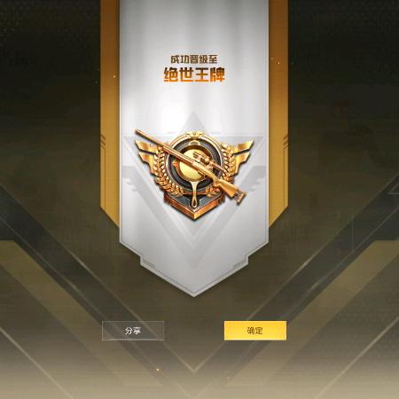 和平精英鑫哥晋级赛