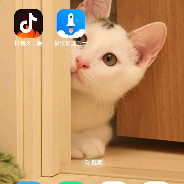 张姐火山头像