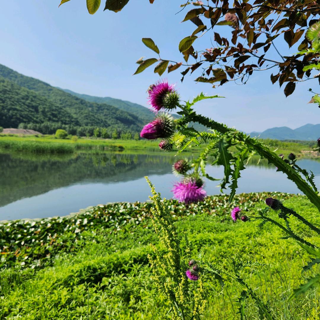 李广明