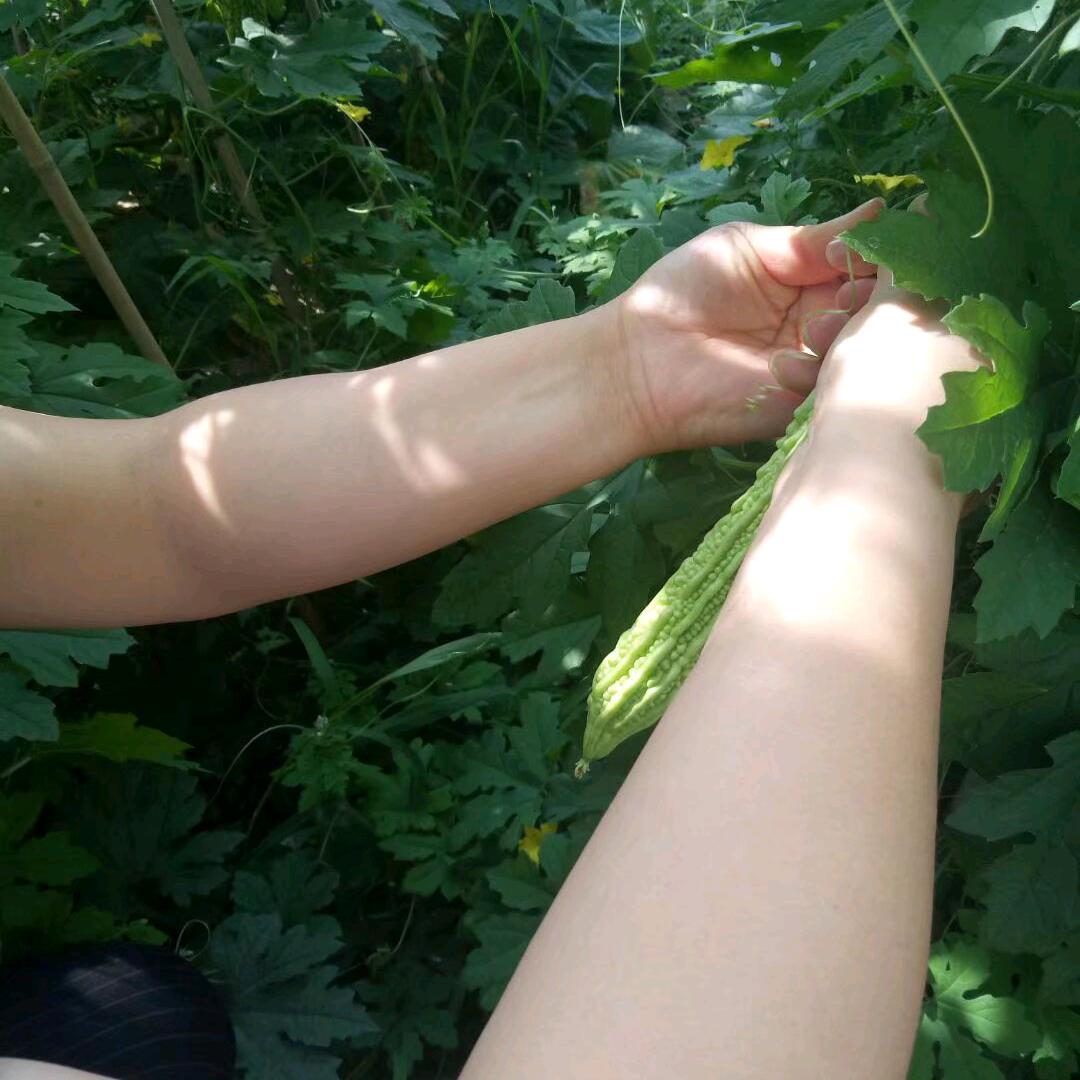 伸手触阳光