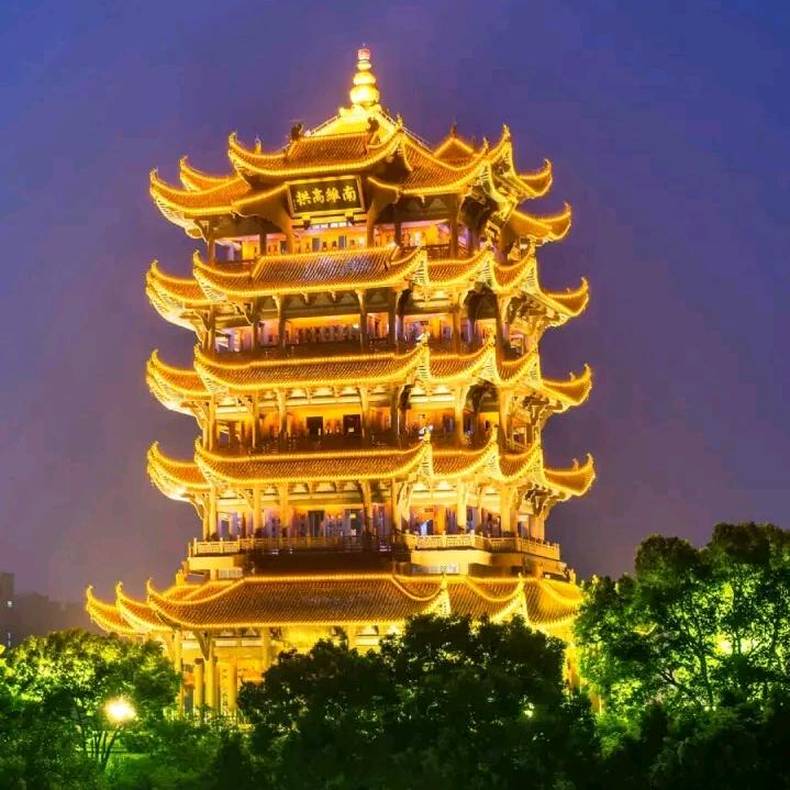 黄鹤之子