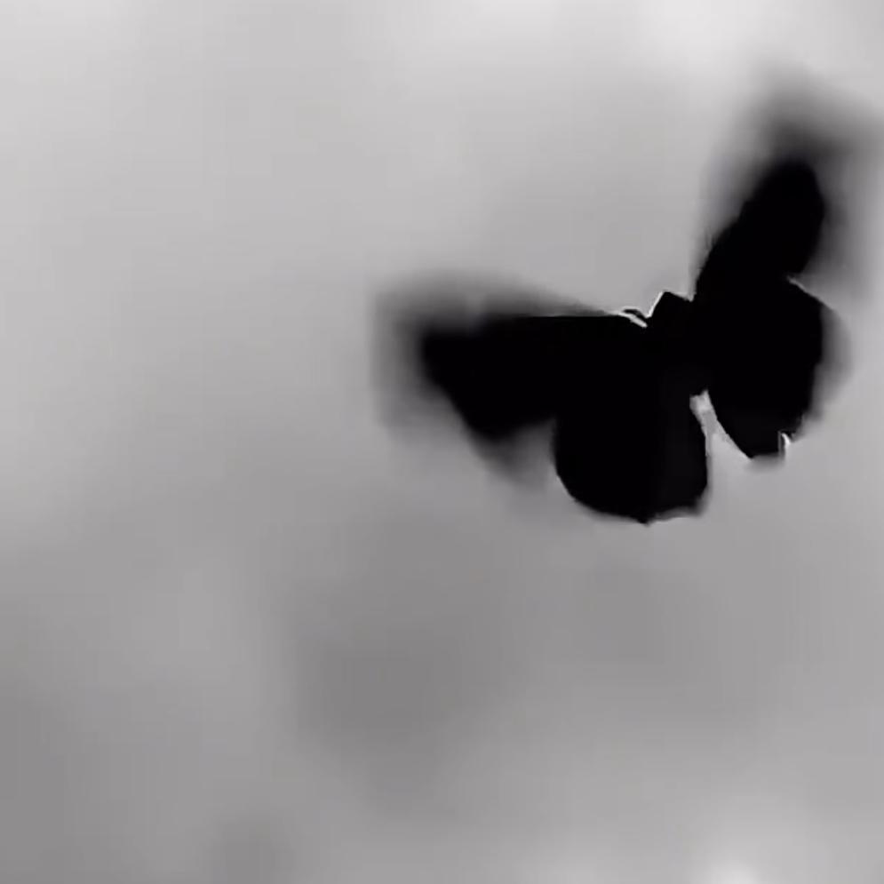 ⁺✞ʚ粉色重度依赖ɞ✟₊