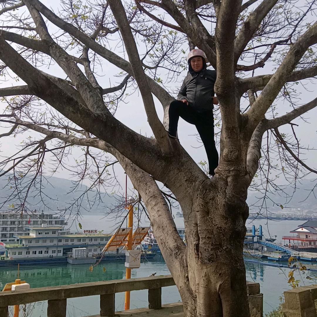 罗宗立