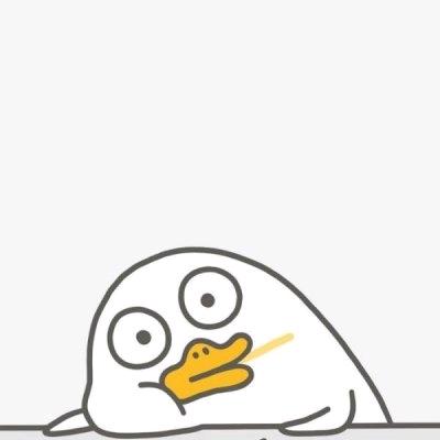 小怂怂
