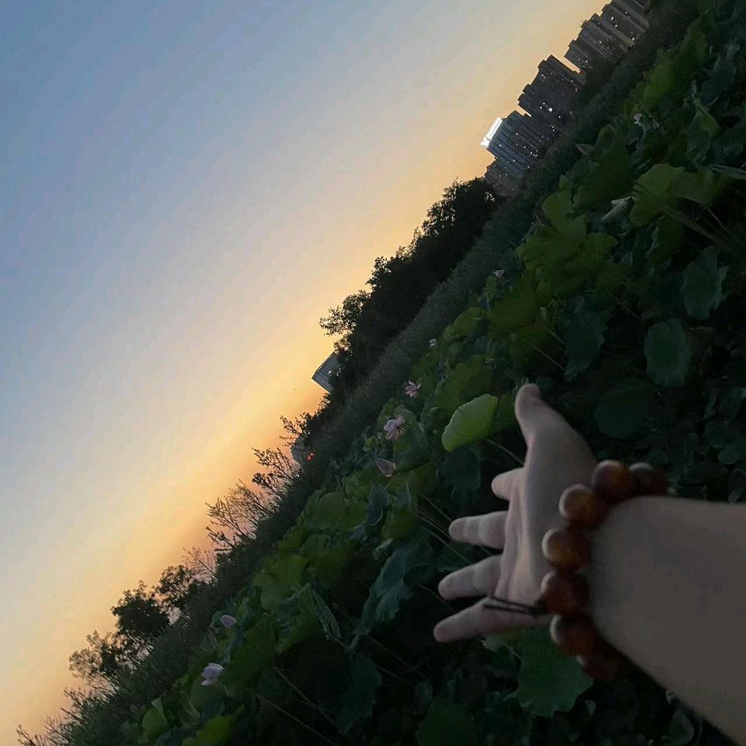 爱我所爱