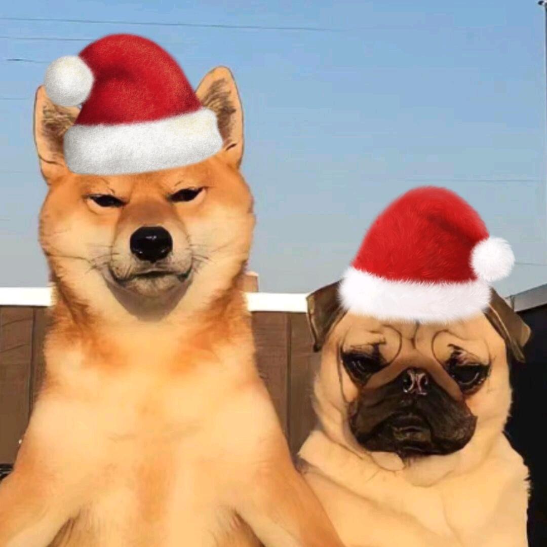 急救药.（圣诞限定版）