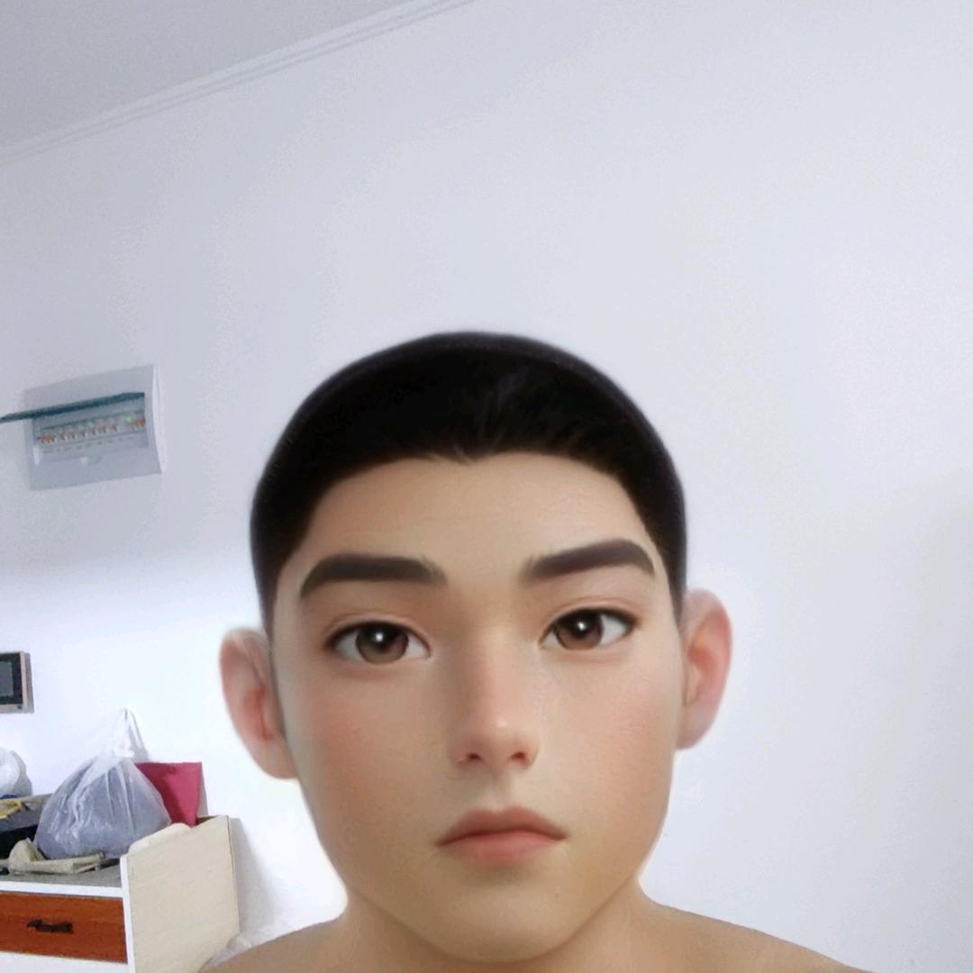 翼龙