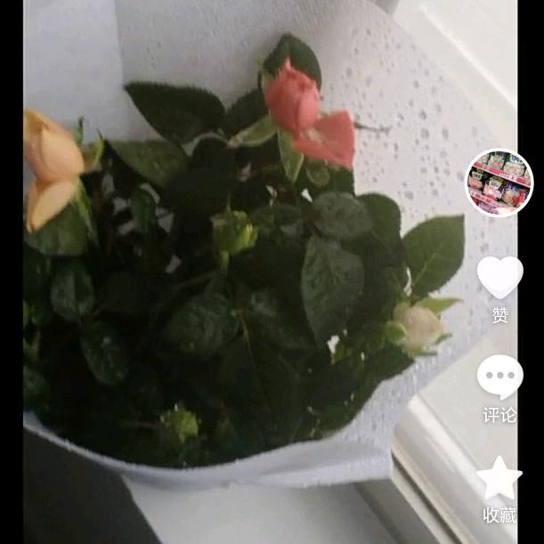 不哭不闹面带微笑