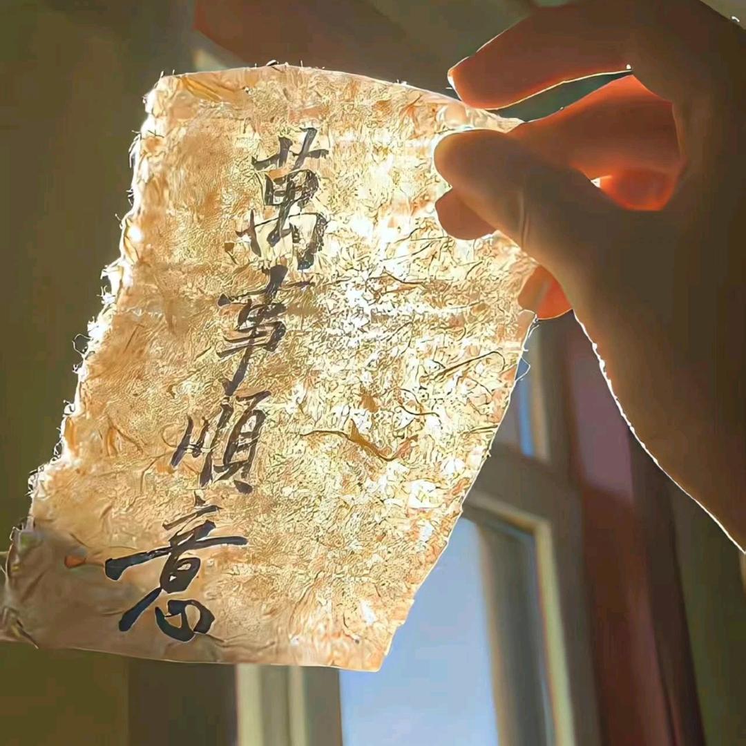 凯迪文森男装@小雪(ง •̀_•́)ง