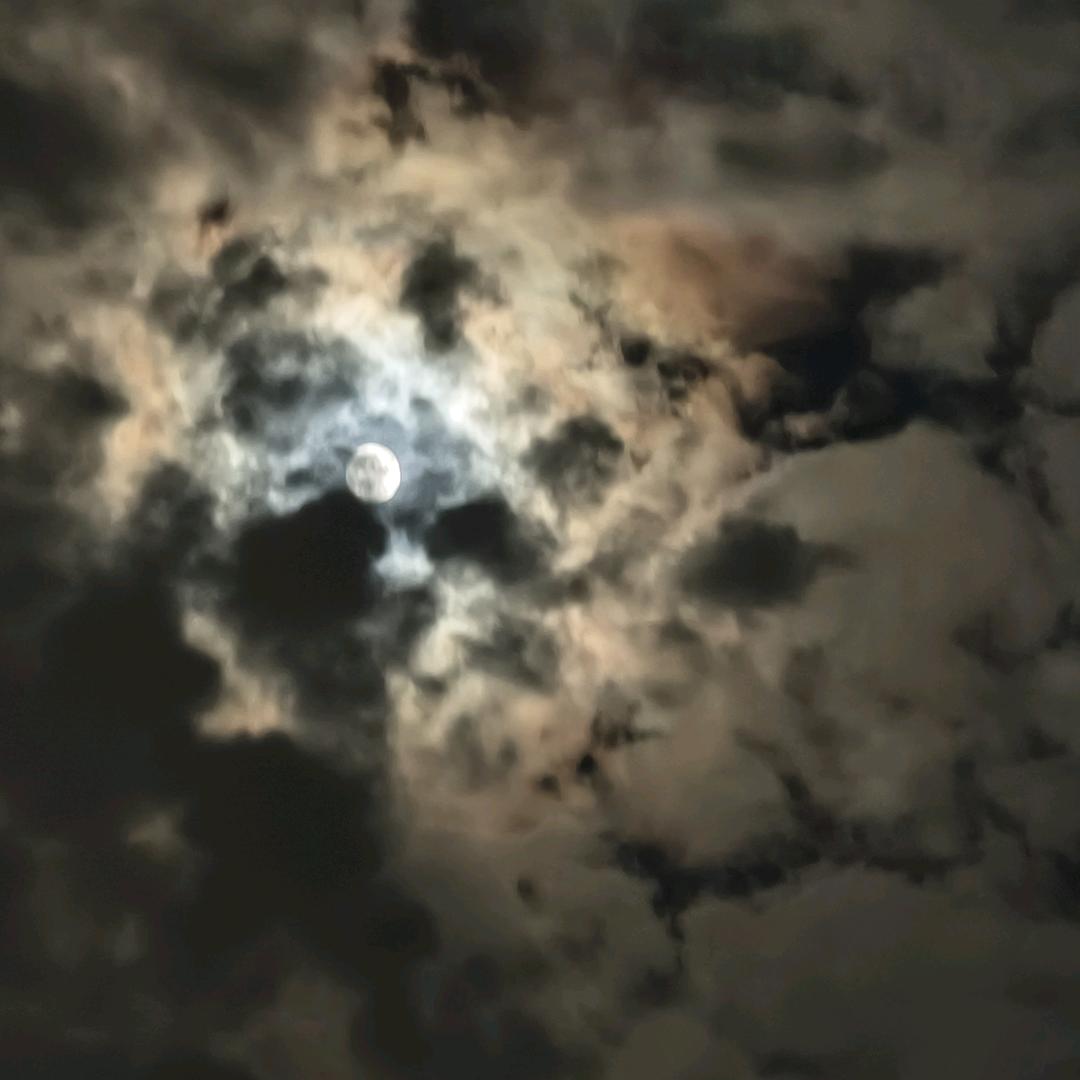 桑