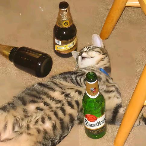 欧阳雅柔
