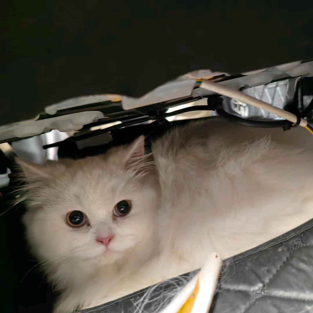 24小时高强度找对象