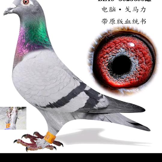 晚上月亮