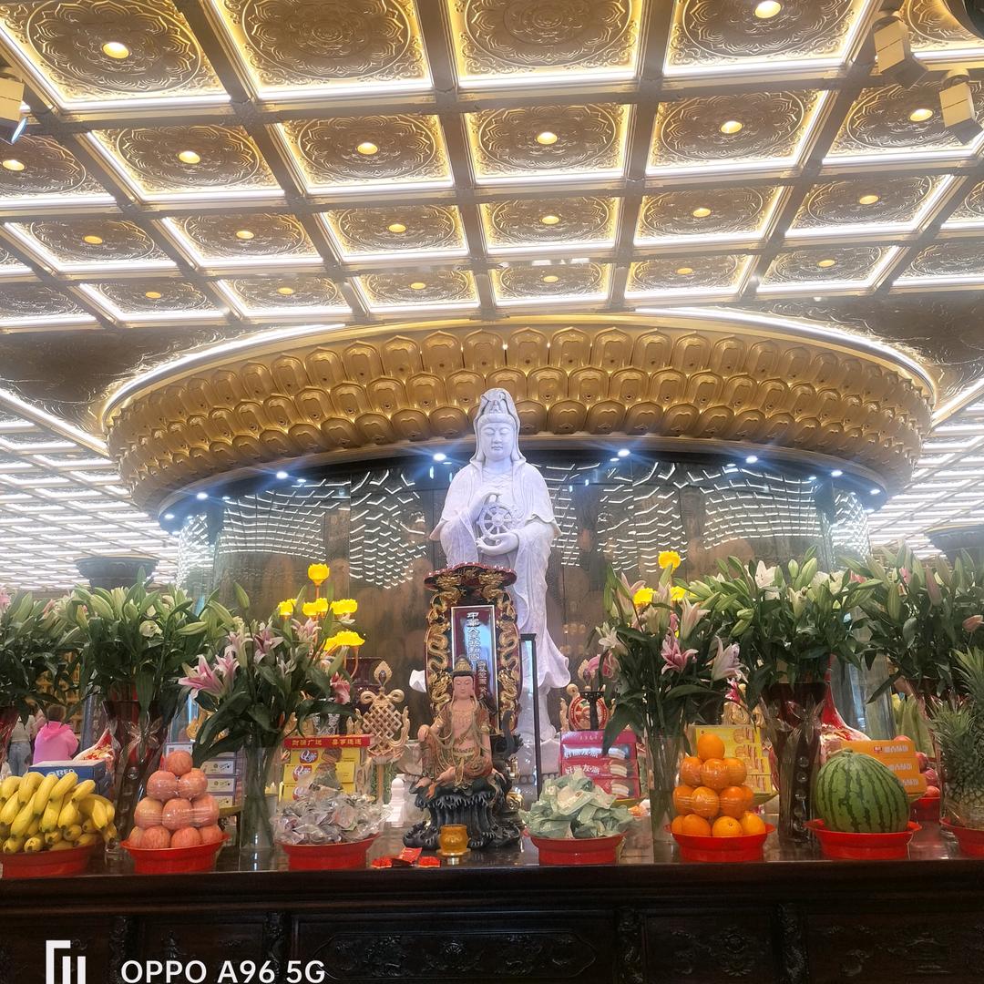 花世界 绿植鲜花婚庆司仪