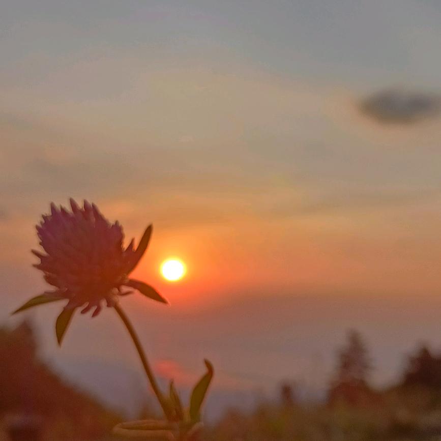 玉响爱❤️你哟