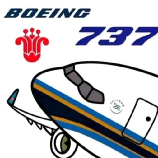 一架爆废的737