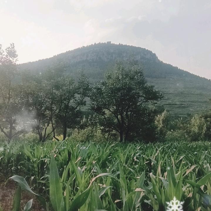 平安幸福