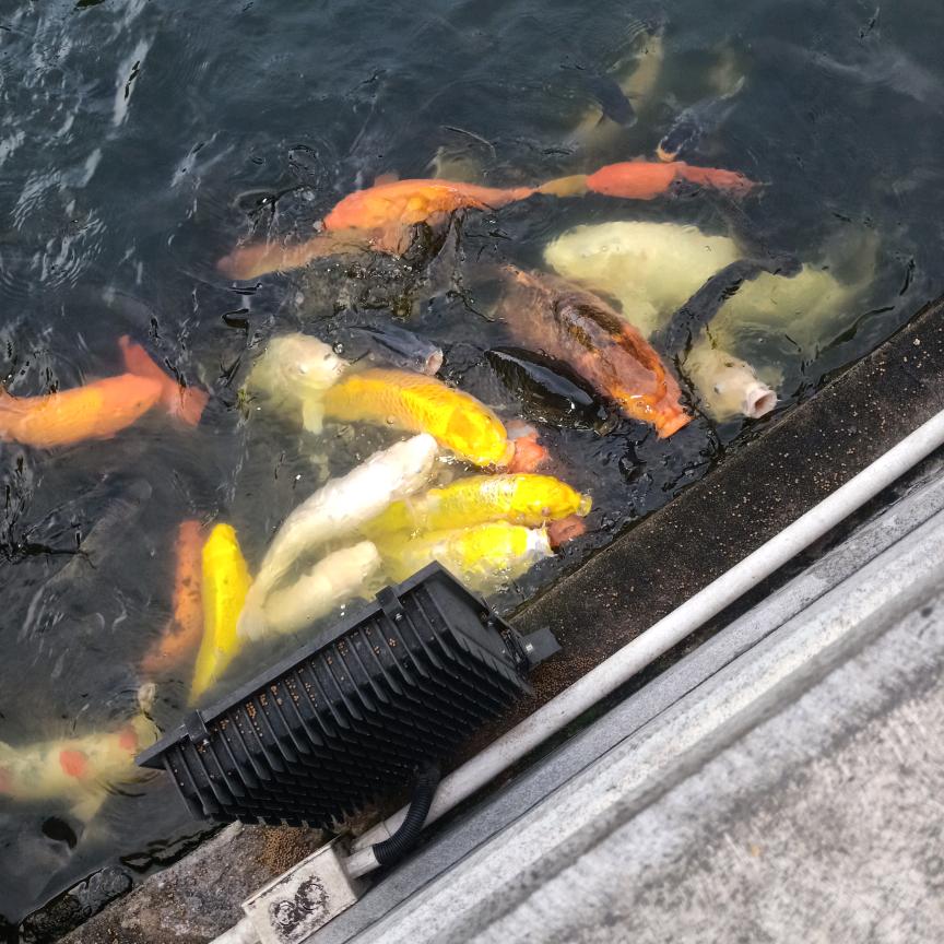 勿忘初心，走走停停