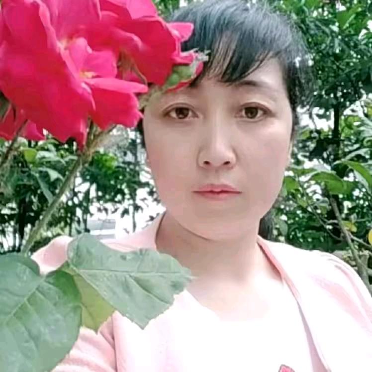 傻的可爱