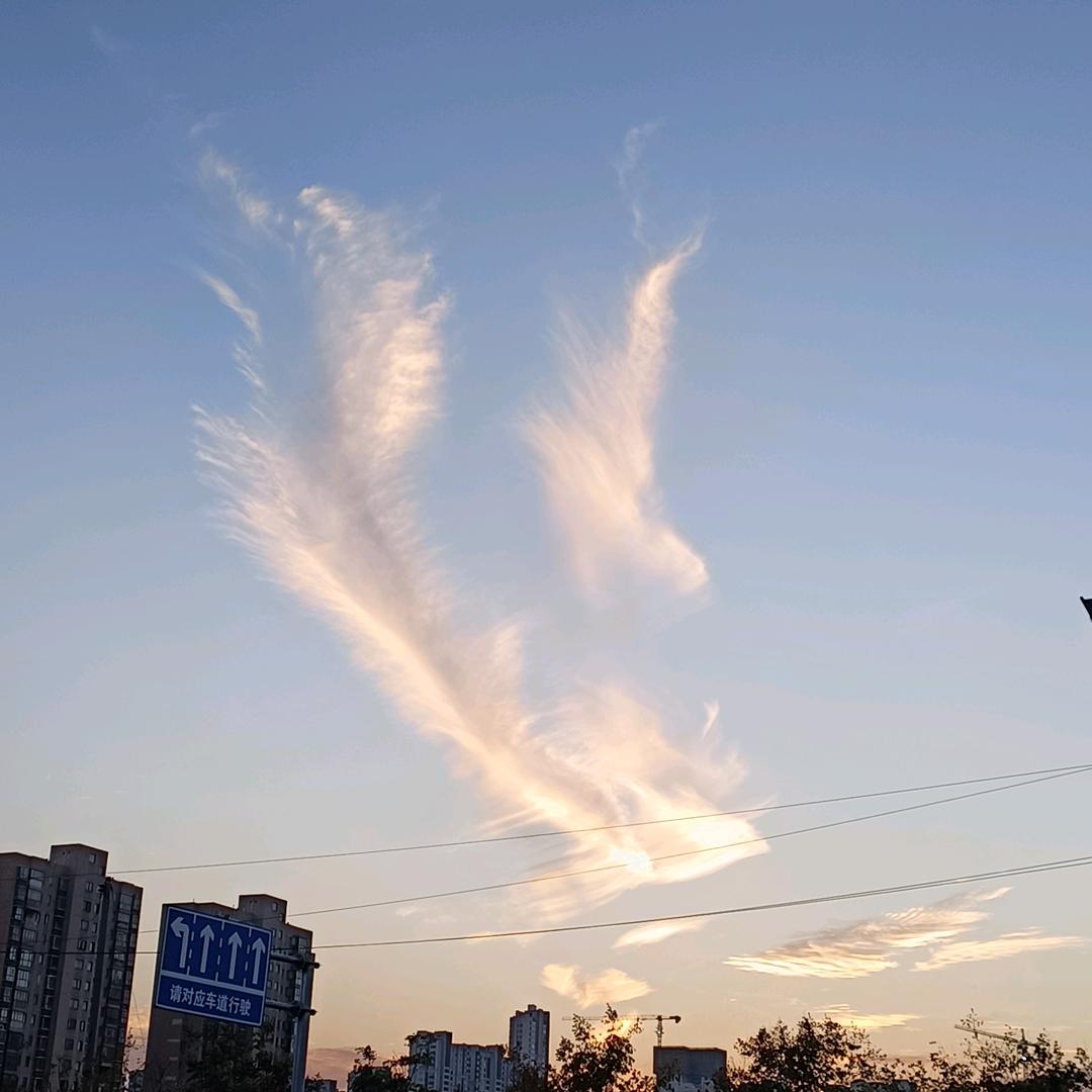 燊达食品欢迎您