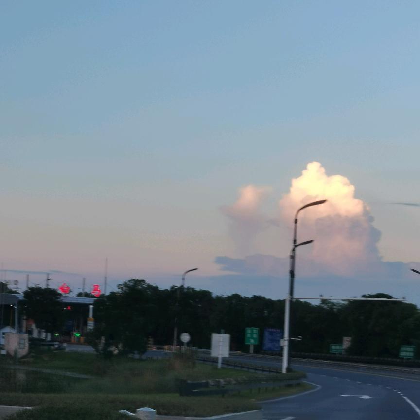 不爱吃胡萝卜的不早睡橙子