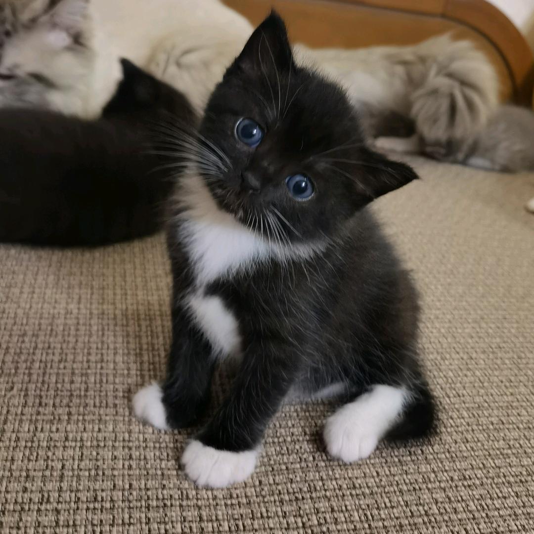 余生不用多指教