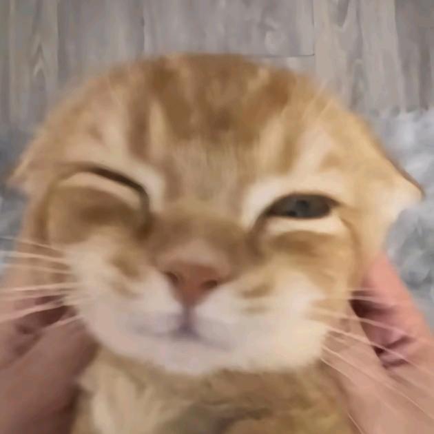 三葉
