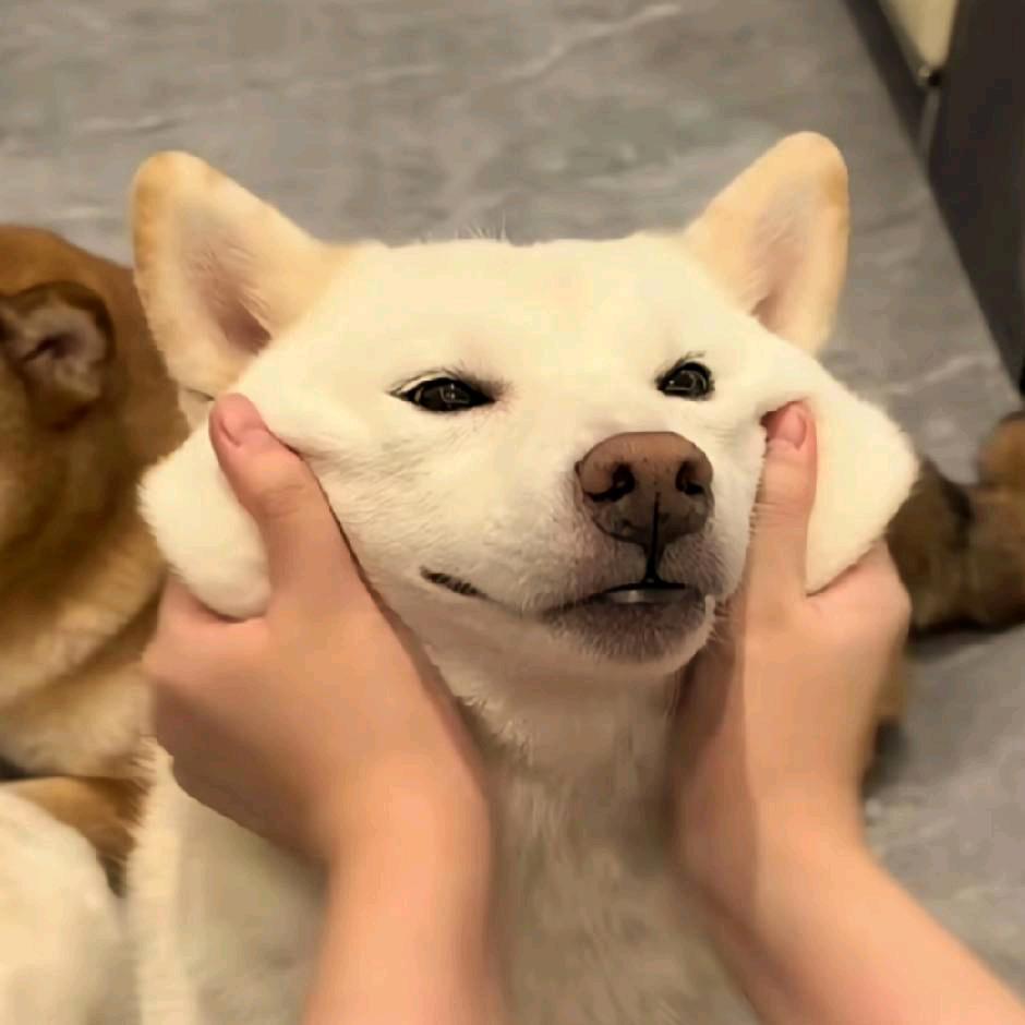 小财头像